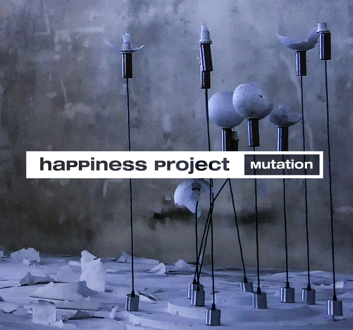 Happiness  Project - Mutation