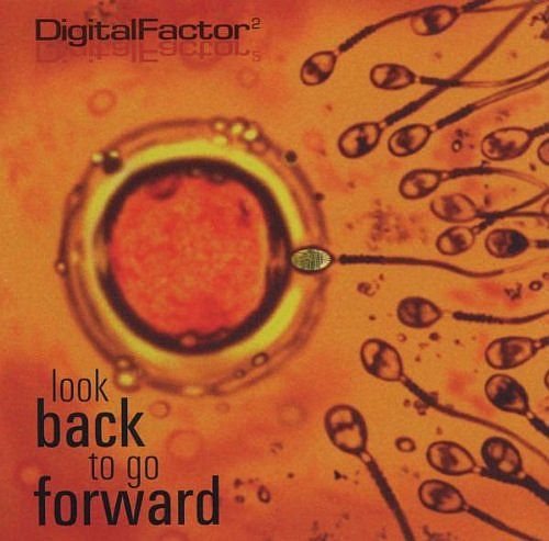 Digital Factor - Look Back...